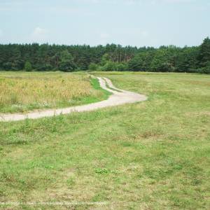 Rogaliński Park Krajobrazowy - rogalinski park krajobrazowy na wsch od mosiny 3