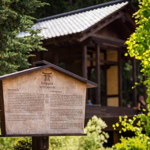 Ogród Japoński w Gryficach - ogrod japonski w gryficach 3