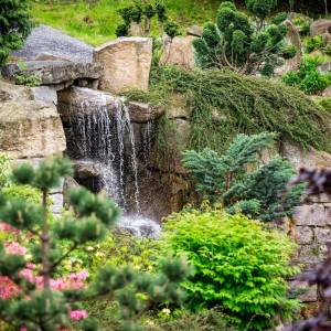 Ogród Japoński w Gryficach - ogrod japonski w gryficach 4