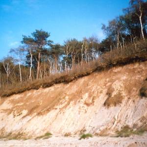 Klif w Niechorzu - klif w niechorzu 2