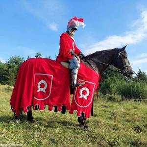 Bitwa o krowę w Białogardzie - bitwa o krowe w bialogardzie 2