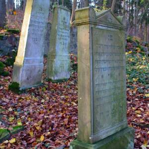 Cmenatarz żydowski w Świdwinie - cmenatarz zydowski w swidwinie 1