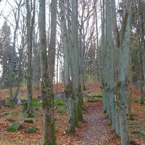Cmenatarz żydowski w Świdwinie - cmenatarz zydowski w swidwinie 2