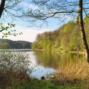 Jezioro Bukowiec - jezioro bukowiec 3