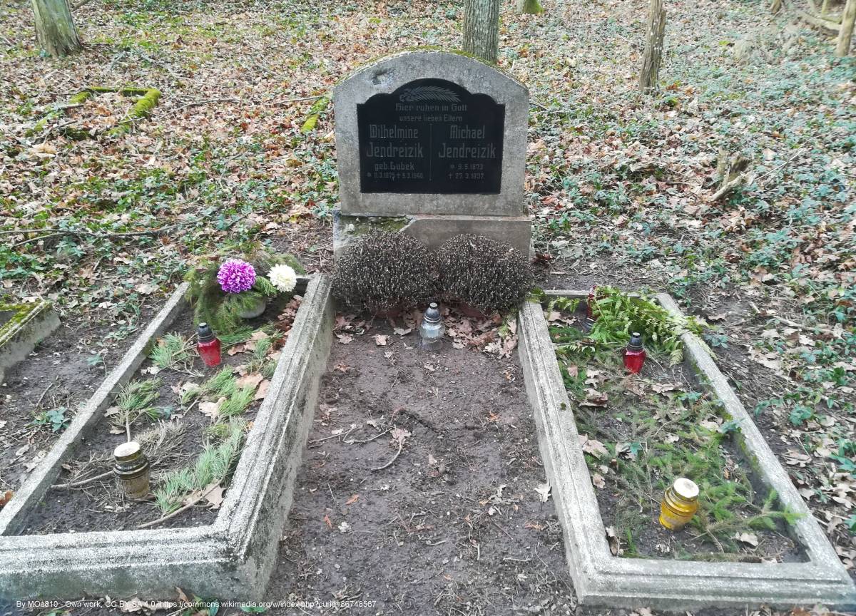 Stary cmentarz ewangelicki w Osiniaku-Piotrowie - evangelical cemetery in osiniak piotrowo 4