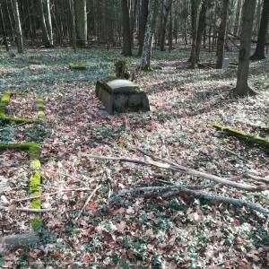 Stary cmentarz ewangelicki w Osiniaku-Piotrowie - evangelical cemetery in osiniak piotrowo 5