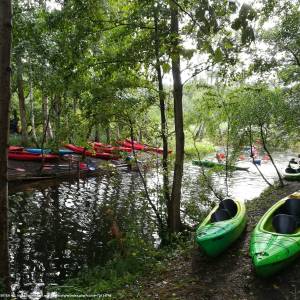 Spływ kajakowy Piaśnicą - splyw kajakowy piasnica