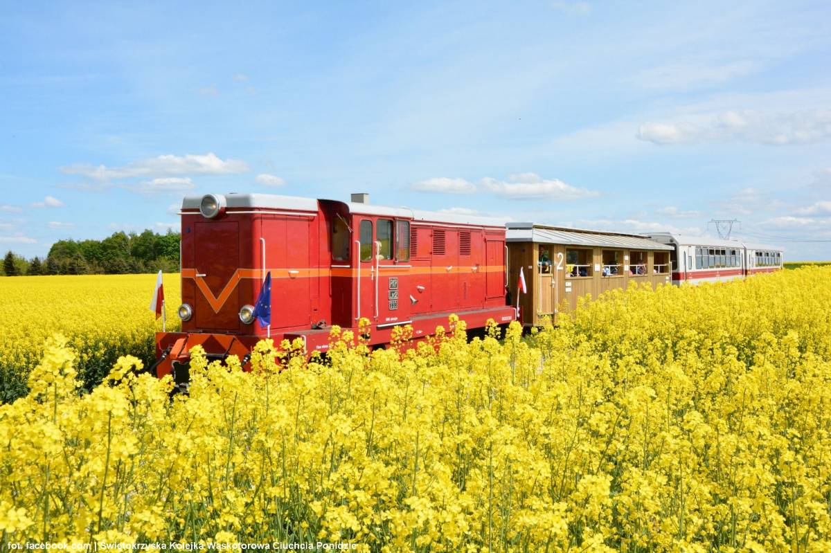 Świętokrzyska Kolej Dojazdowa - swietokrzyska kolej dojazdowa 22