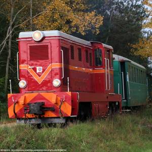 Świętokrzyska Kolej Dojazdowa - swietokrzyska kolej dojazdowa 1