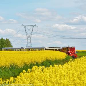Świętokrzyska Kolej Dojazdowa - swietokrzyska kolej dojazdowa 23