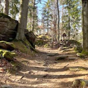 Złoty Widok w Piechowicach (Michałowicach) - zloty widok w piechowicach michalowicach 13