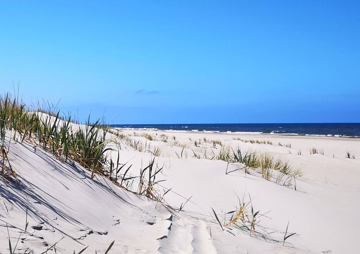 Plaża Rogowo - Atrakcje turystyczne - Odkrywcza turystyka