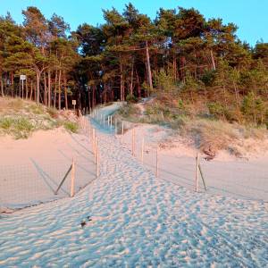 Plaża Wisełka - plaza wiselka 2025 57