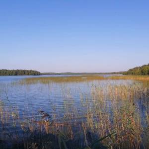 Jezioro Dołgie Wielkie - jezioro dolgie duze2