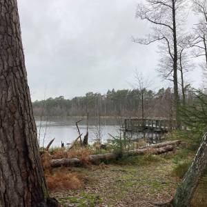 Obszar ochrony ścisłej Dołgie Małe - obszar ochrony scislej dolgie male4