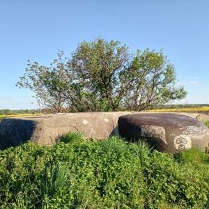 OWŚ - 08. Punkt oporu "Dąbrówka" - p o dabrowka 04 schron bojowy nr 5 7