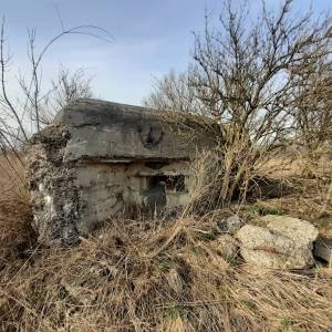 OWŚ- Grupa bojowa "Brzeziny" - 20230319 145958
