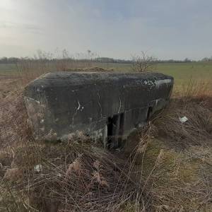 OWŚ- Grupa bojowa "Brzeziny" - 20230319 154409b