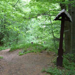 Szaniec konfederatów barskich na Przełęczy nad Roztokami - szaniec konfederatow barskich na przeleczy nad roztokami 2