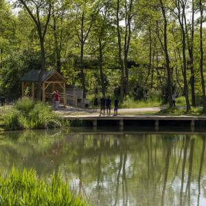 Geopark w Zabrzu Grzybowicach - geopark w zabrzu grzybowicach 1