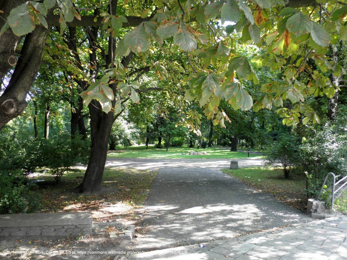 Park Bronowicki w Lublinie - pl lublin park bronowicki2