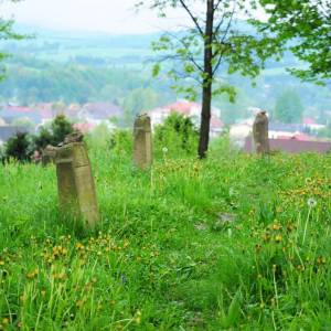 Cmentarz żydowski w Baligrodzie - cmentarz zydowski w baligrodzie dz 1