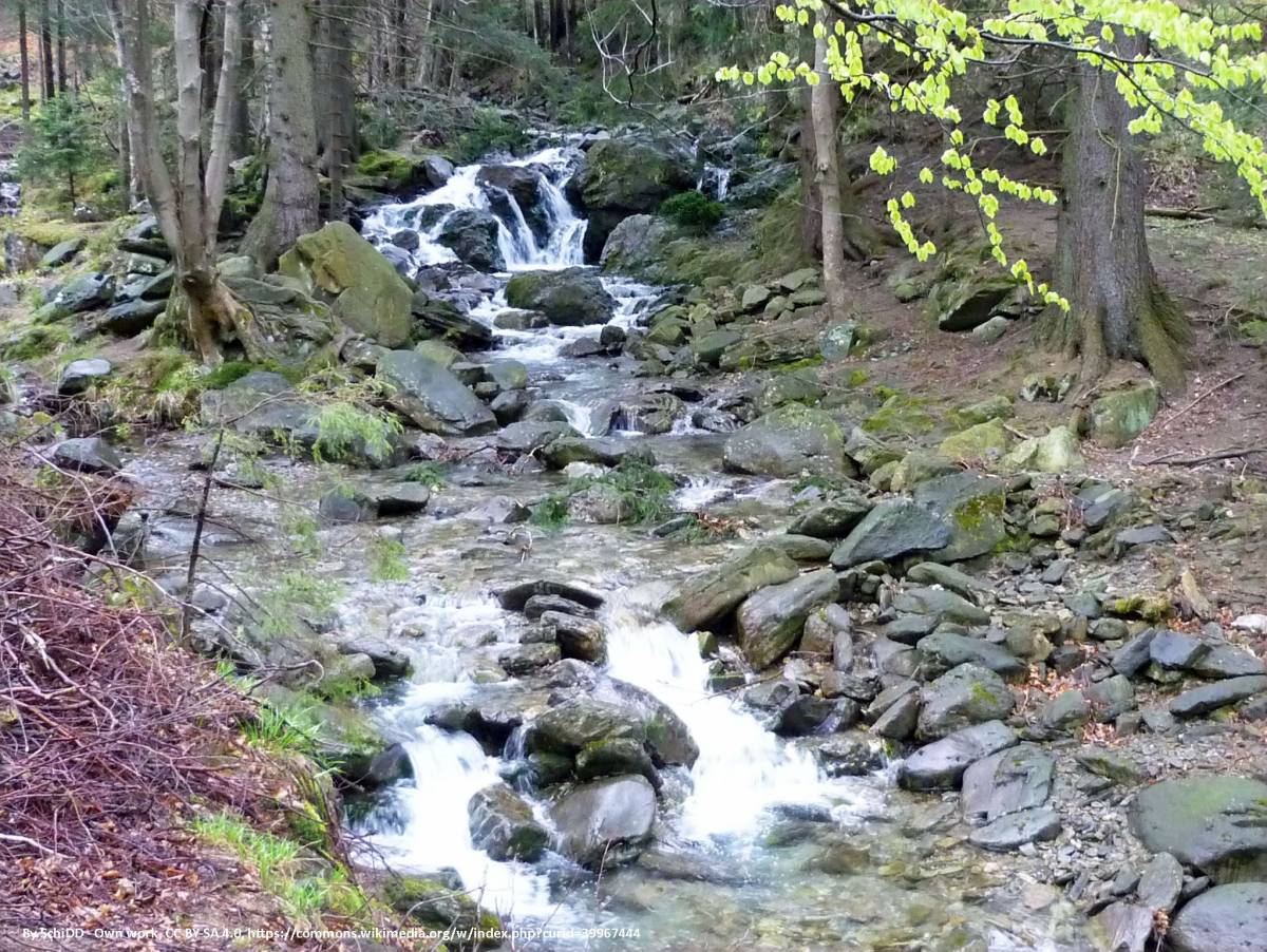 Sowia Dolina - sowia dolina 6