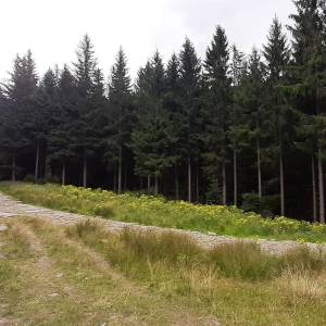 Sowia Dolina - sowia dolina