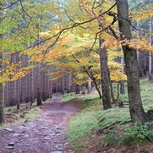 Sowia Dolina - sowia dolina 2