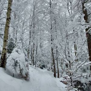 Sowia Dolina - sowia dolina 4