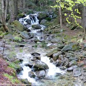 Sowia Dolina - sowia dolina 6