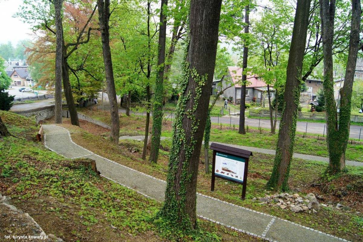 Park Nadleśnictwa Śnieżka w Kowarach - 6 park nadlesnictwa sniezka w kowarach