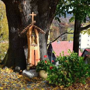 Park Nadleśnictwa Śnieżka w Kowarach - park nadlesnictwa sniezka w kowarach 1