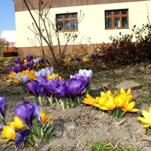 Park Nadleśnictwa Śnieżka w Kowarach - park nadlesnictwa sniezka w kowarach 2