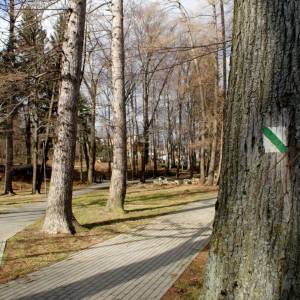 Leśny Park Miejski w Kowarach - lesny park miejski w kowarach 1