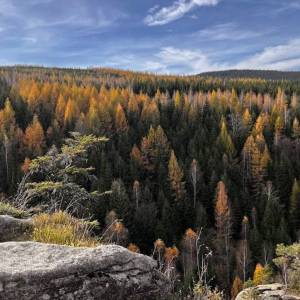 Szwedzkie Skały - szwedzkie skaly 2