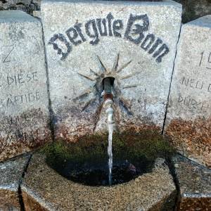 Grabowiec (784 m n.p.m.) - grabowiec 784 m n p m 1