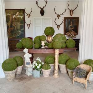 Dwór Dom Wdowy w Łomnicy - dwor dom wdowy w lomnicy 2