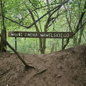 Park Gródek w Jaworznie - park grodek w jaworznie 2026 05 13 15