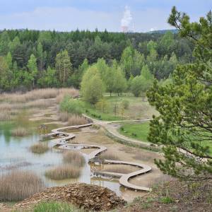 Park Gródek w Jaworznie - park grodek w jaworznie 2026 05 13 22