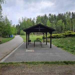 Park Gródek w Jaworznie - park grodek w jaworznie 2026 05 13 71