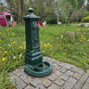 Park Gródek w Jaworznie - park grodek w jaworznie 2026 05 13 81