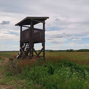 Wieża widokowa przy Żółtej Drodze - wieza widokowa przy zoltej drodze 1