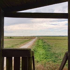 Wieża widokowa przy Żółtej Drodze - wieza widokowa przy zoltej drodze 10