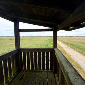 Wieża widokowa przy Żółtej Drodze - wieza widokowa przy zoltej drodze 11