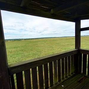 Wieża widokowa przy Żółtej Drodze - wieza widokowa przy zoltej drodze 12