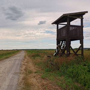Wieża widokowa przy Żółtej Drodze - wieza widokowa przy zoltej drodze 16
