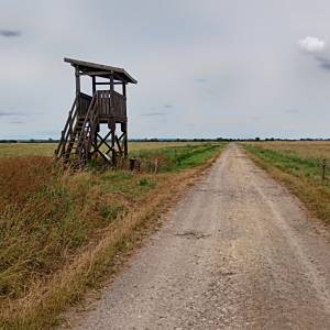 Wieża widokowa przy Żółtej Drodze - wieza widokowa przy zoltej drodze 2