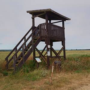 Wieża widokowa przy Żółtej Drodze - wieza widokowa przy zoltej drodze 3