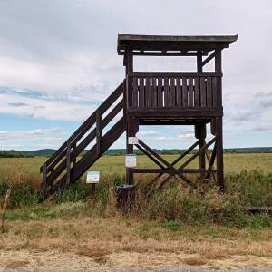 Wieża widokowa przy Żółtej Drodze - wieza widokowa przy zoltej drodze 4